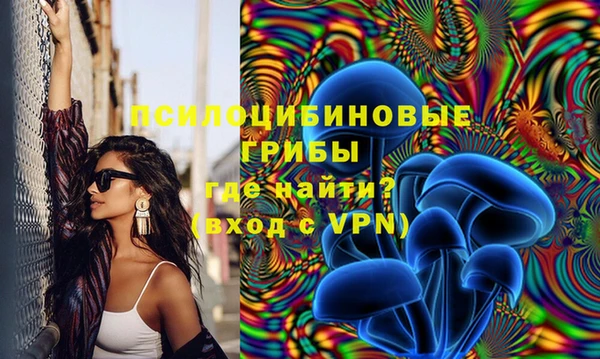 мет Абаза