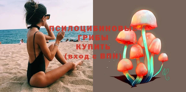 соль курить ск Ельня