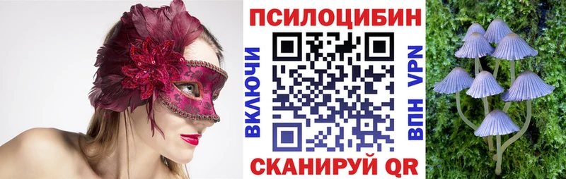 Псилоцибиновые грибы мицелий  OMG tor  Осташков  закладка 
